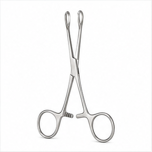 Babcock Tissue Forcep 8″