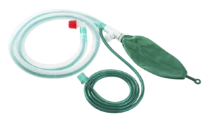 Romsons Brain Circuit Adult