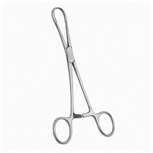 Sponge Holding Forceps 10″ 1’S
