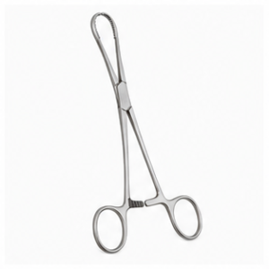 Sponge Holding Forceps 8″